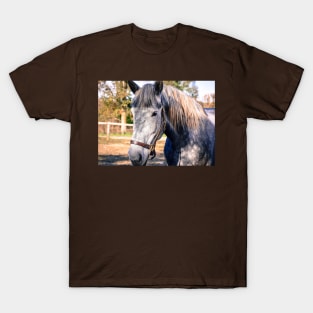 Equine Greeting T-Shirt